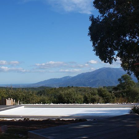 Mas La Marchette Bed and Breakfast Céret Εξωτερικό φωτογραφία