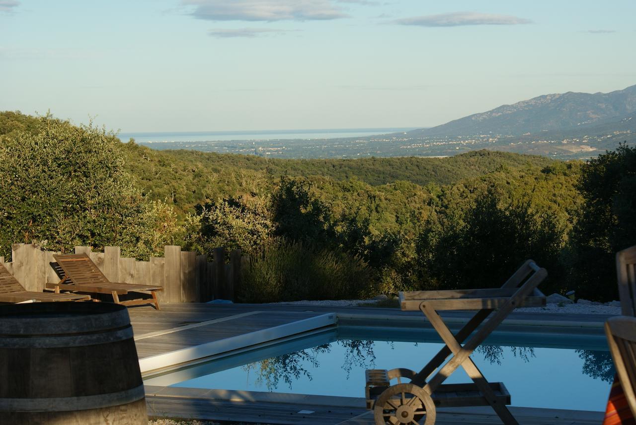 Mas La Marchette Bed and Breakfast Céret Εξωτερικό φωτογραφία