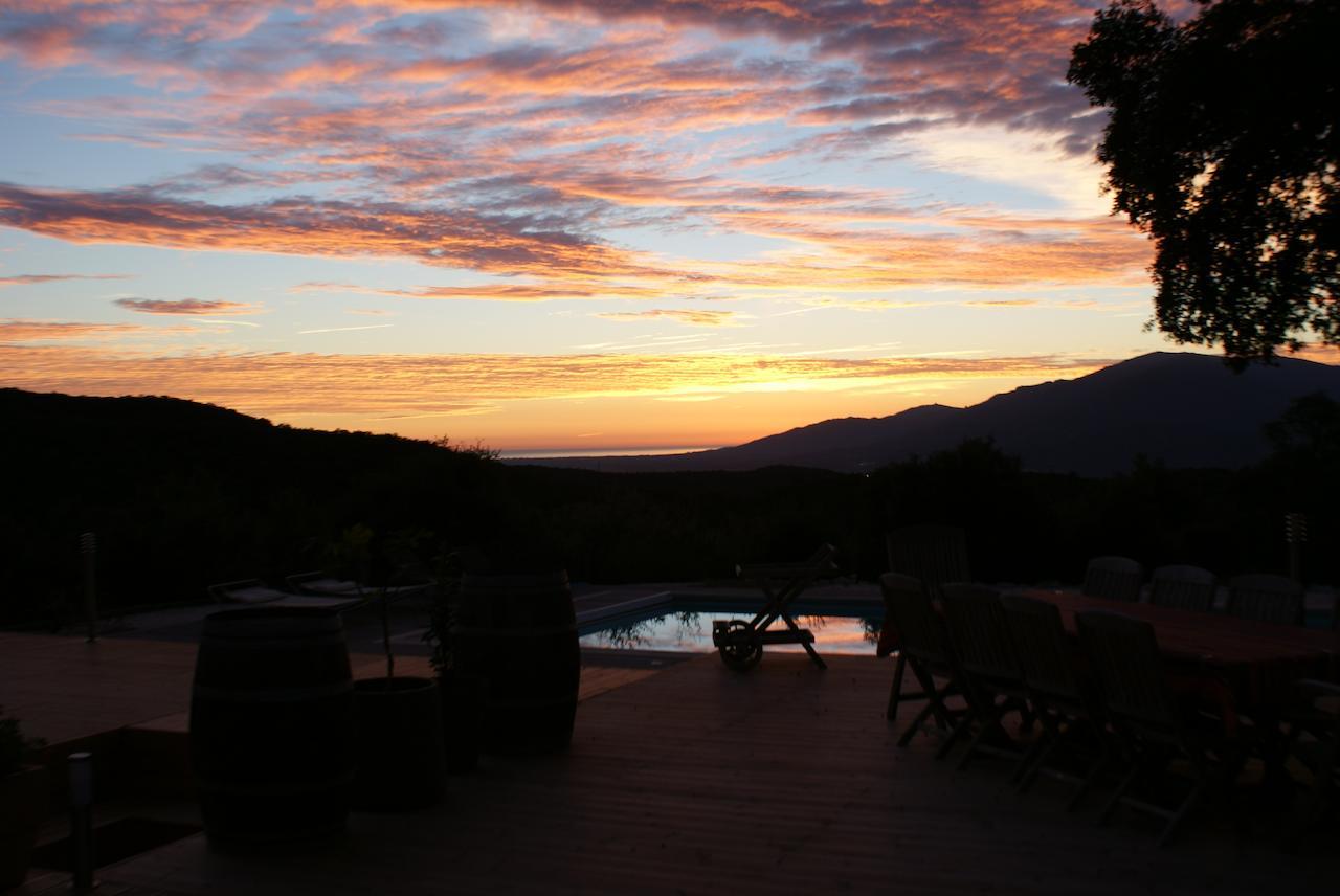 Mas La Marchette Bed and Breakfast Céret Εξωτερικό φωτογραφία