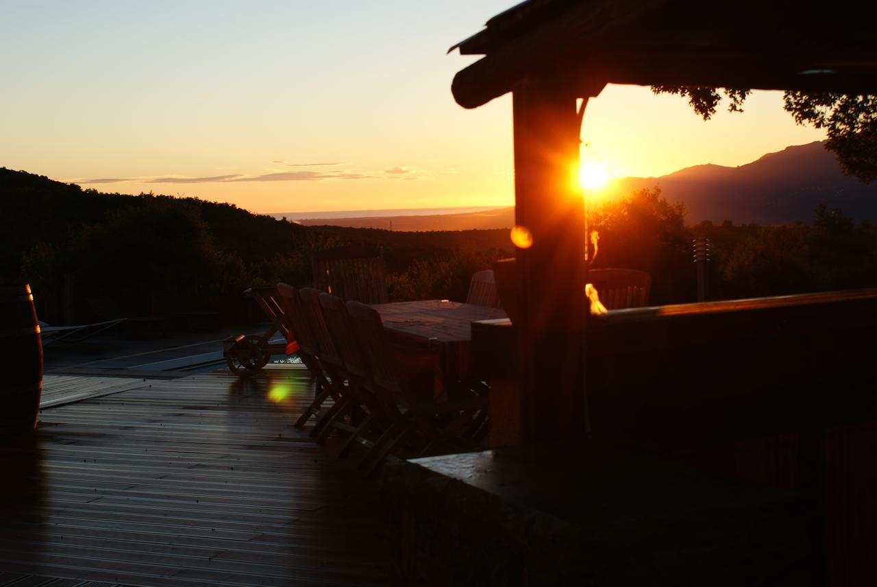 Mas La Marchette Bed and Breakfast Céret Εξωτερικό φωτογραφία