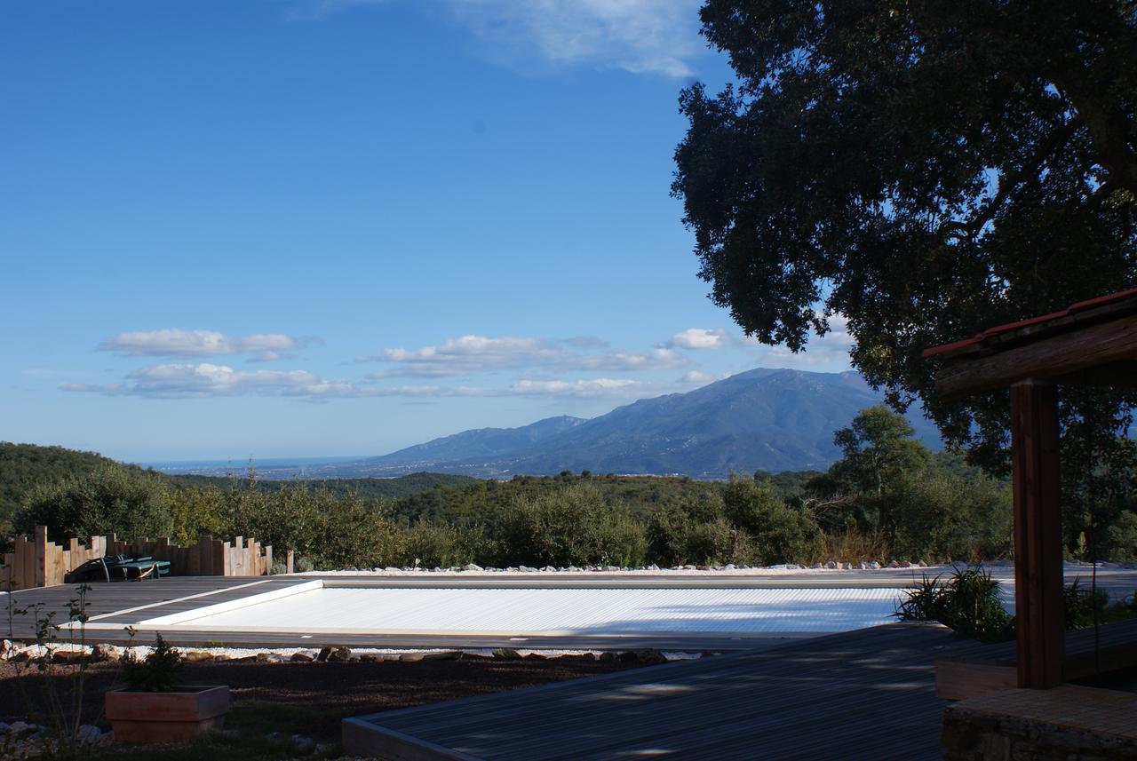 Mas La Marchette Bed and Breakfast Céret Εξωτερικό φωτογραφία